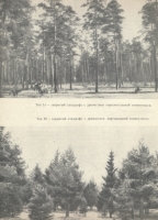 Природа Ленинграда и окрестностей артикул 7327c.